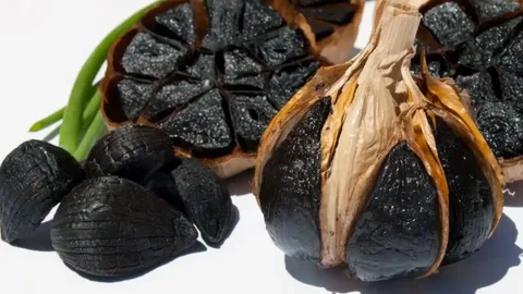 تصویر 1 از سیر سیاه فرانسوی با استاندارد اروپایی و کیفیت لوکس